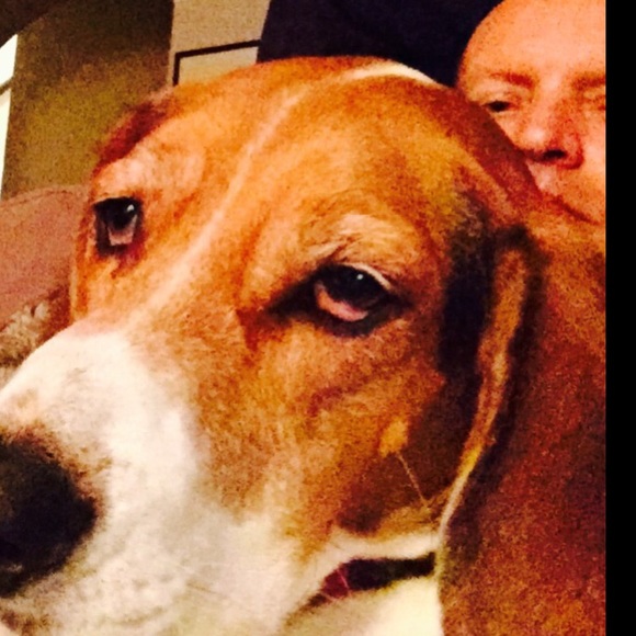 Meet your Posher, Keith - Picture 1 of 1